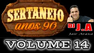 SERTANEJO ANOS 90 VOLUME 14 [upl. by Anilet]