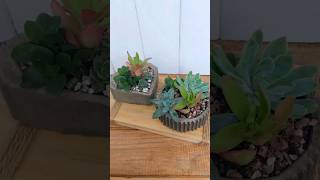 CREA TUS PROPIOS MINI JARDINES short diyprojects garden macetasdecemento diy [upl. by Egamlat]