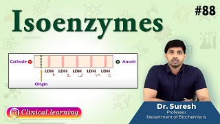 88 Isoenzymes [upl. by Shute]