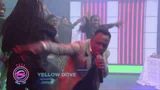 Yellow Dove Jumpa Tv Ministration [upl. by Earaj649]