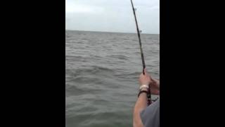 Catching Bull Redfish at Galveston Jetties Fish On [upl. by Azarria731]