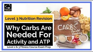 Nutrition Revision Why Carbs are needed for Activity and ATP [upl. by Kobi]