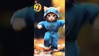 Cat dance motersycle 🔛♨️🤣 l catvideos cat catdance motorcycle shorts [upl. by Ennovehs]