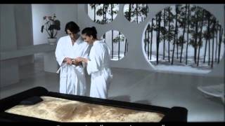 SANSPA LUXURIOUS WATER JET BED THERAPY [upl. by Anor]