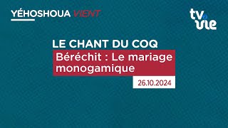 Béréchit  Le mariage monogamique [upl. by Winshell401]