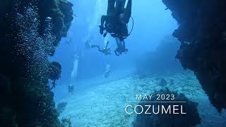 Scuba Diving Cozumel May 2023  FPose [upl. by Dnomal986]