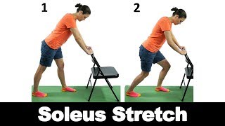 Soleus Stretch  Ask Doctor Jo [upl. by Corley]