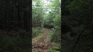 Pond Parish Trail turn nature hikingtrails [upl. by Koa]