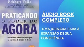 ÁUDIO BOOK PRATICANDO O PODER DO AGORA ECKHART TOLLE áudio completo [upl. by Eerak]