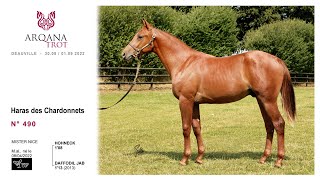 Arqana Trot 202308  N°490  M  Hohneck x Daffodil Jab présenté par le Haras Des Chardonnets [upl. by Uwkuhceki494]