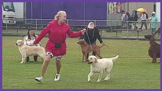 2022 Kyneton Ag Show  Group 3 Best amp Classes [upl. by Jeffries550]