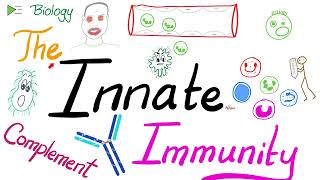 The Innate Immunity and the Complement System  Immunology [upl. by Aciretnahs667]