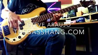 La Bella 760 Flat Wound Strings and a Marco PJ5 Bass [upl. by Anivram]