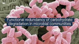 Quantifying the functional redundancy of carbohydratedegrading proteins in microbial communities [upl. by Feer]