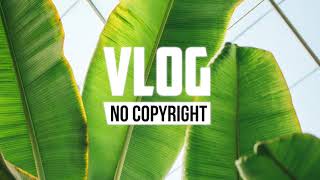 Ikson  Wanna Vlog No Copyright Music [upl. by Kciwdahc]