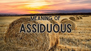 What is the meaning of Assiduous [upl. by Nerrawed]