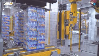 E80 Group Robotic wrapping system [upl. by Yelhak873]