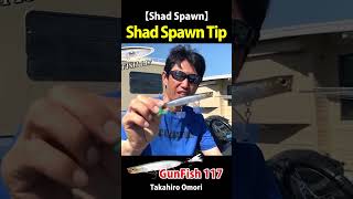 【Shad Spawn 04 05】Shad Spawn GunFish Tip 【Top Water】 [upl. by Yenot]