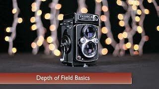 Depth of Field Basics [upl. by Iteerp]