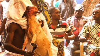 Voodoo Festival Ceremony 1 Ouidah Benin [upl. by Krutz]