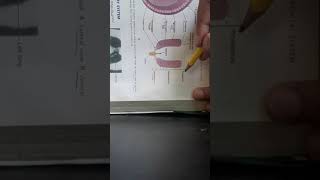 EMBRYOLOGICAL Development of UROGENITAL SYSTEM part 1 DEVELOPMENT OF KIDNEY Part 1 of 2 [upl. by Ahtibat457]