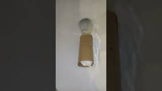 Flushing a loaded toilet paper roll at Walmart [upl. by Adnawal]