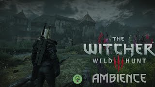 Witcher 3  Von Everec Estate Ambience  Gaunter ODimms Theme   Sleep  Study  Relax [upl. by Hannad]