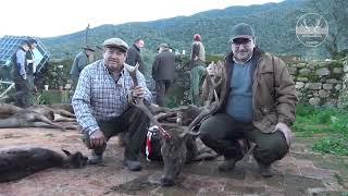 PROMO MONTERÍA LA CANDELERA ALTA 2024  ALFONSO YUSTE Y SPANISH HUNTING EXPERIENCE [upl. by Nylidnam]