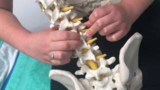 What is Joint Cracking Why do joints pop Cracking Compilation [upl. by Pampuch]