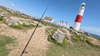 bass fishing lure fishing tub gurnard crabbing uk dorset studland poole and portland [upl. by Nynahs]