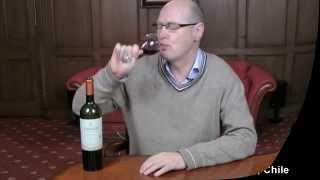 Carmen Grand Reserva Carmenere 2011 Chile wine review [upl. by Ilecara]