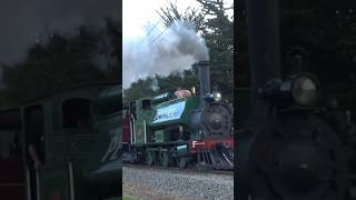 Steam locomotives double heading at Ferrymead [upl. by Colene]