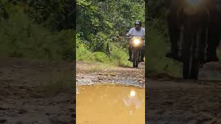 Offroading Mauritius Suzuki DR200 [upl. by Alberta]