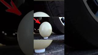 EXPERIMENT OSTRICH EGG vs CAR 😱😱😱shorts automobile dangerfacts breakfastfoodeggy [upl. by Niccolo]