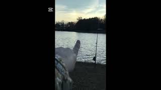 First video fishing for catfish at Kefauver [upl. by Danieu]