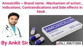 Amoxicillin Augmentin  Mechanism of action  Indications and Contraindications antibiotics [upl. by Queena]