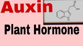 Plants HormoneAuxin HormoneFor TGTPGTNEETBScMScClass 12th and10th and other exam [upl. by Beaudoin]