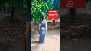 ေျပာၾကည့္အတုလားအစစ္လား real or fake [upl. by Sadirah377]