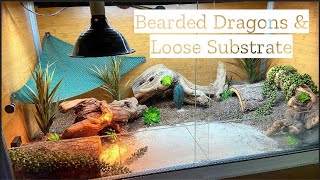 Your Opinions on Loose Substrate for Bearded Dragons [upl. by Krilov]