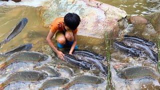 Full video Catch Fish Create Fish Traps go to the market to sell fish in exchange for a puppy [upl. by Kragh486]