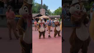 Chip and Dale Hoedown in Walt Disney Worlds Magic Kingdom [upl. by Annirak981]