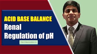 Renal regulation of pH Acidbase balance biochemistry [upl. by Akinaj]