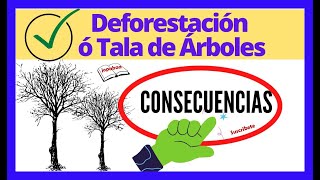 🌲Deforestaciòn o tala de árboles y sus consecuencias Colombia🌿Jopabaa [upl. by Donald149]