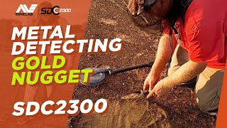 Metal Detecting Gold Nuggets with the Minelab SDC 2300 [upl. by Gaby452]