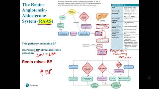 RAAS System [upl. by Jun]