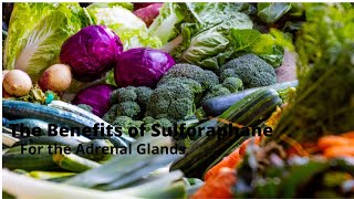 The Benefits of Sulforaphane For The Adrenal Glands [upl. by Osbert]