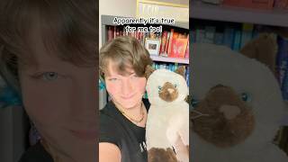 Everyone looks like their childhood stuffy😸 trend viraltoocute shorthaircutdoglover catlover [upl. by Deina]