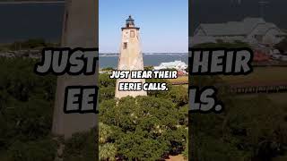 Top 5 Haunted Lighthouses In Americas East Coast [upl. by Aseiram219]