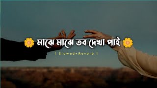 majhe majhe tobo dekha pai  lyrics  arnob মাঝে মাঝে তব দেখা পাই  Bangla song  Lofi Music [upl. by Nonnaehr72]