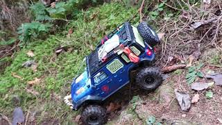 Part 14  Crawlerbande im Wernloch 10112024 crawler [upl. by Alwitt]